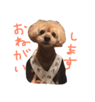 Lineスタンプ いっちゃんまんこてちゃんまん2 16種類 1円