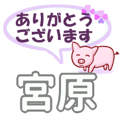 宮原「みやはら」さん専用。日常会話 | LINEスタンプ | うずしりこ